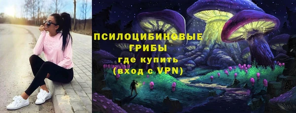 не бодяженный Вяземский